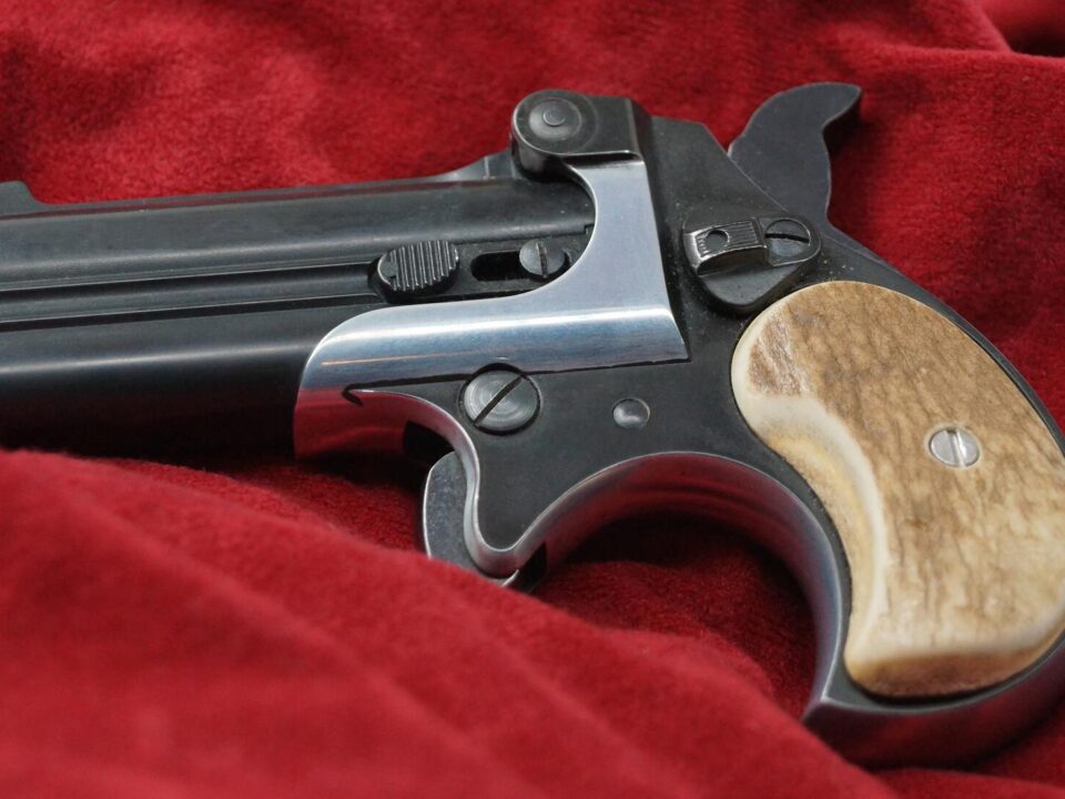 The Best Modern Derringer for Self Defense Liberty Shooting Sports